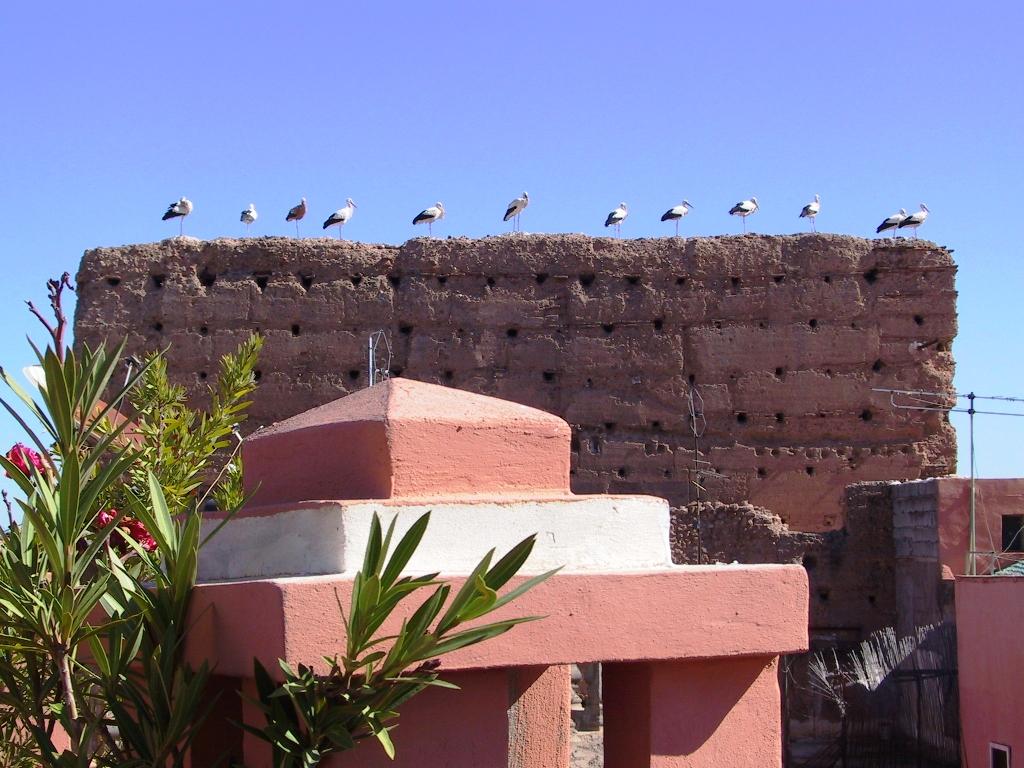 Riad El Farah Kasbah Marrákes Kültér fotó